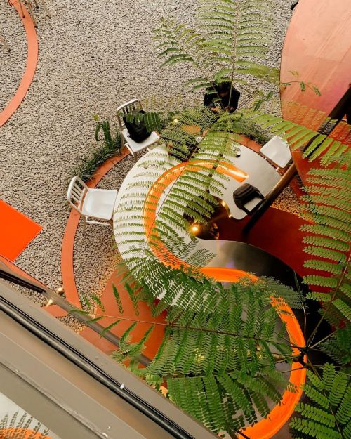 sparkle cofffe bandung gambar